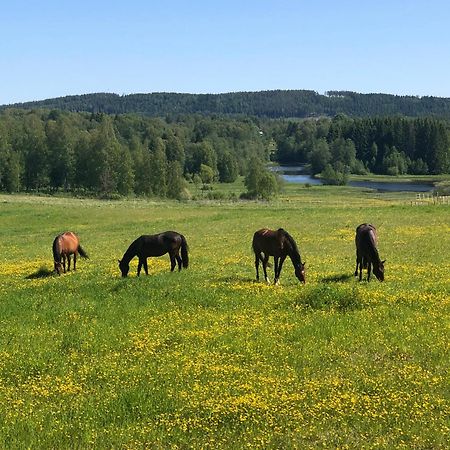 Appartamento Torpgarden Oennerudsvaegen 56 Torsby Esterno foto