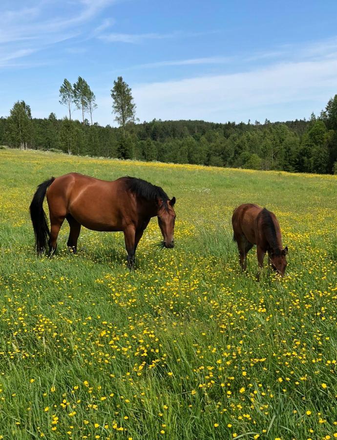 Appartamento Torpgarden Oennerudsvaegen 56 Torsby Esterno foto