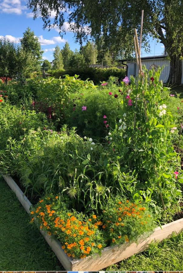 Appartamento Torpgarden Oennerudsvaegen 56 Torsby Esterno foto