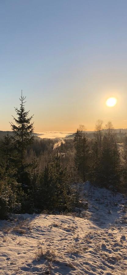 Appartamento Torpgarden Oennerudsvaegen 56 Torsby Esterno foto