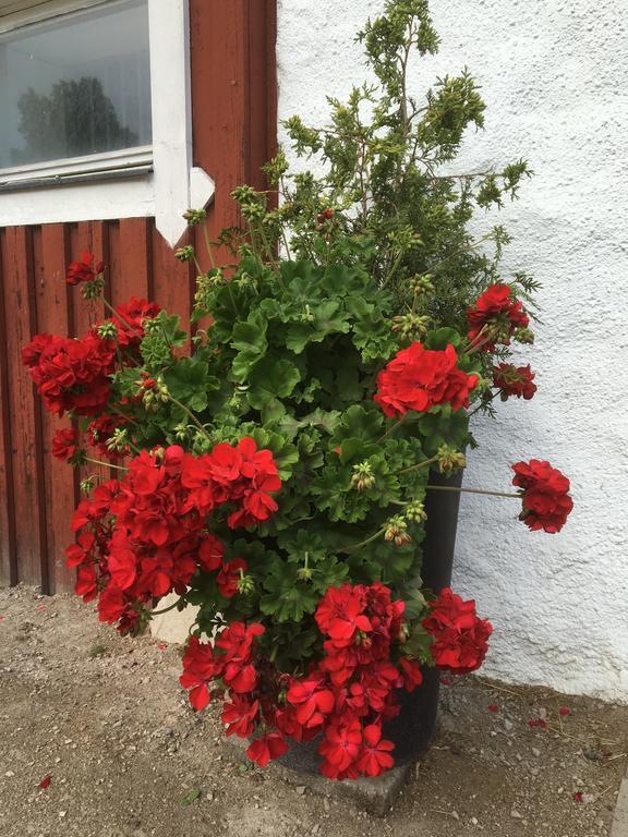 Appartamento Torpgarden Oennerudsvaegen 56 Torsby Esterno foto