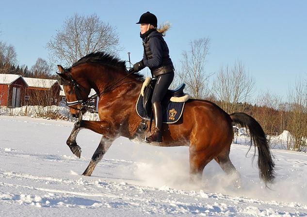 Appartamento Torpgarden Oennerudsvaegen 56 Torsby Esterno foto