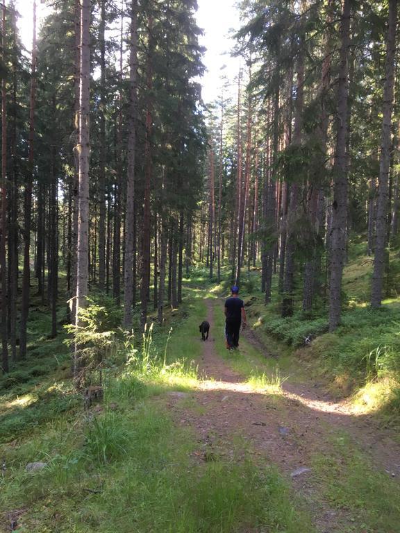 Appartamento Torpgarden Oennerudsvaegen 56 Torsby Esterno foto